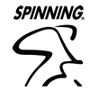 Logo Spinning